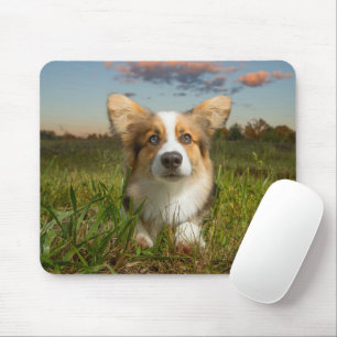 Niedliche Kleintiere   Corgi in Cloudy Yard Mousepad