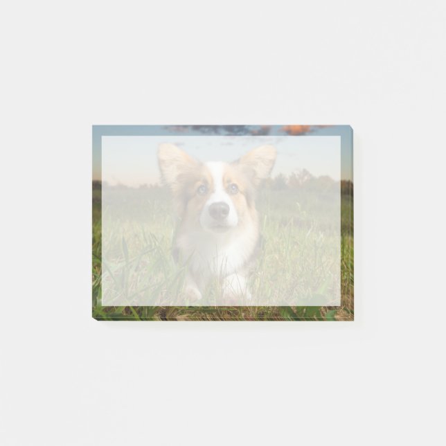 Niedliche Kleintiere | Corgi in Cloudy Yard Post-it Klebezettel (Vorderseite)