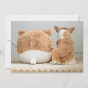 Niedliche Kleintiere   Corgi & Plush Puppy Dankeskarte