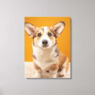 Niedliche Kleintiere Corgi Portrait auf Orange Leinwanddruck