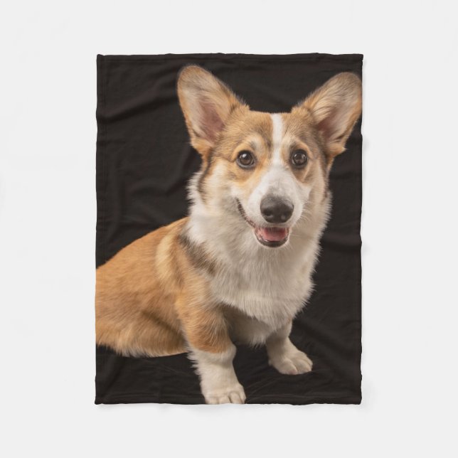 Niedliche Kleintiere | Corgi-Portrait auf Schwarz Fleecedecke (Vorderseite)