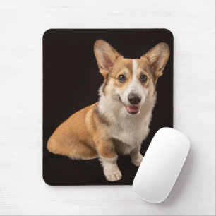Niedliche Kleintiere Corgi-Portrait auf Schwarz Mousepad