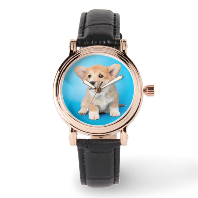 Niedliche Kleintiere | Corgi Puppy auf blau Armbanduhr (Vorderseite)