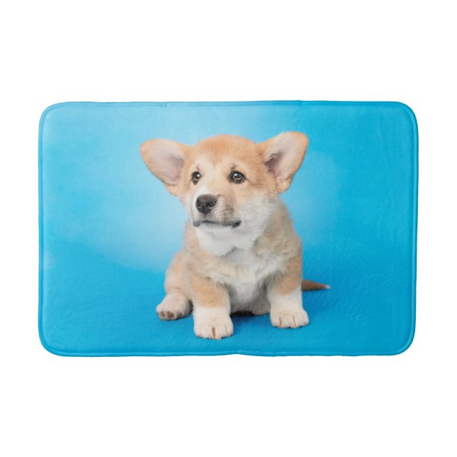 Niedliche Kleintiere | Corgi Puppy auf blau Badematte (Vorderseite)