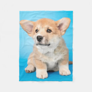 Niedliche Kleintiere Corgi Puppy auf blau Fleecedecke