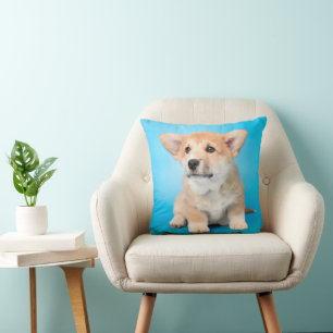 Niedliche Kleintiere Corgi Puppy auf blau Kissen