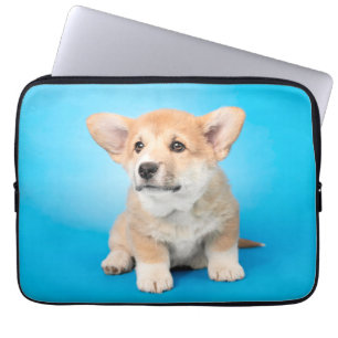 Niedliche Kleintiere Corgi Puppy auf blau Laptopschutzhülle
