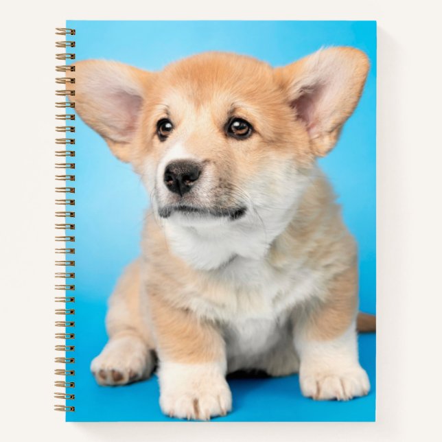 Niedliche Kleintiere | Corgi Puppy auf blau Notizbuch (Vorderseite)