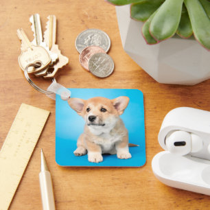Niedliche Kleintiere   Corgi Puppy auf blau Schlüsselanhänger