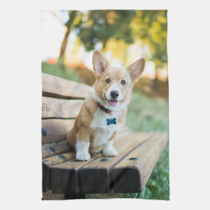 Niedliche Kleintiere Corgi Puppy auf einer Parkb Geschirrtuch