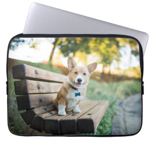 Niedliche Kleintiere Corgi Puppy auf einer Parkb Laptopschutzhülle