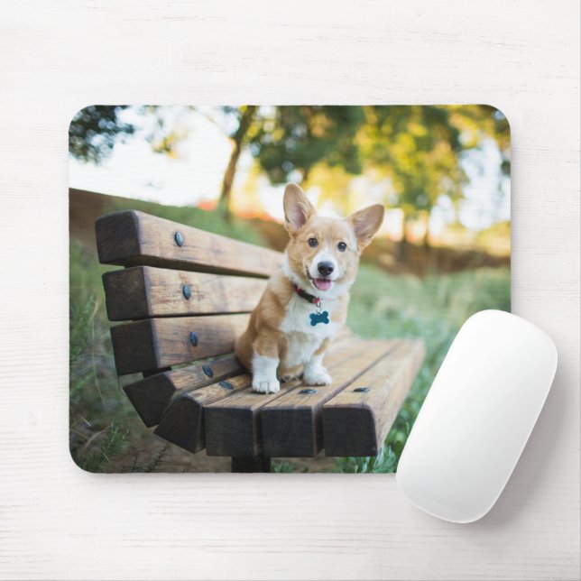 Niedliche Kleintiere | Corgi Puppy auf einer Parkb Mousepad (Mit Mouse)