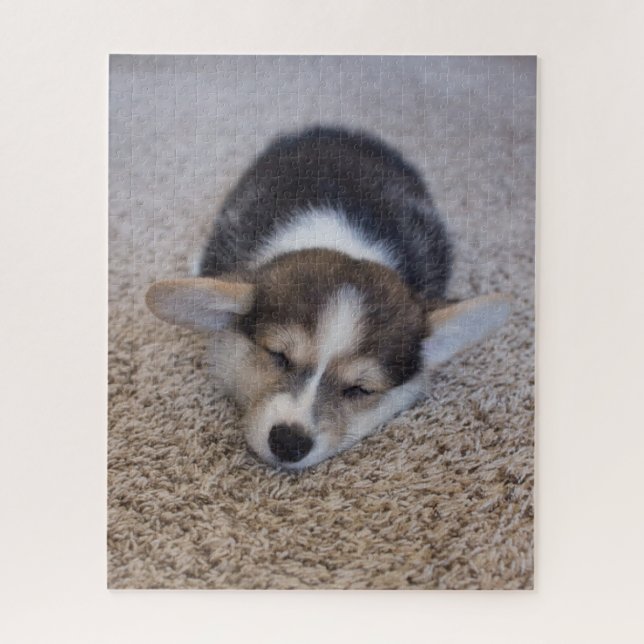 Niedliche Kleintiere | Corgi Puppy auf Shag Rug (Vertikal)