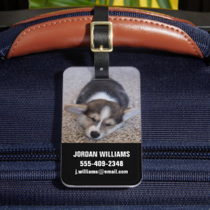Niedliche Kleintiere Corgi Puppy auf Shag Rug Gepäckanhänger