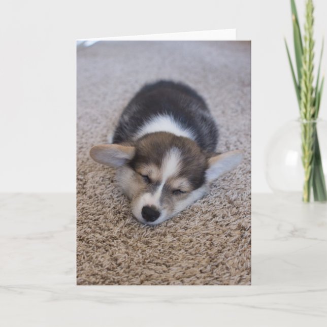 Niedliche Kleintiere | Corgi Puppy auf Shag Rug Karte (Vorderseite)