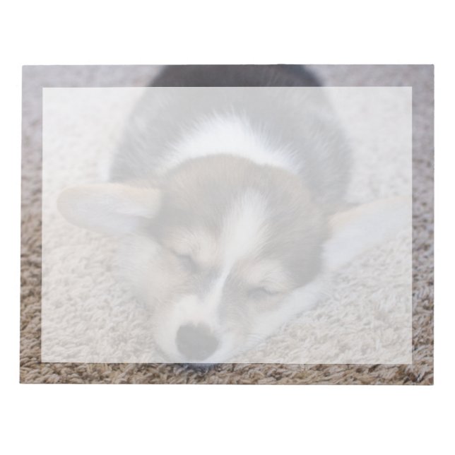 Niedliche Kleintiere | Corgi Puppy auf Shag Rug Notizblock (Vorderseite)