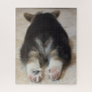 Niedliche Kleintiere   Corgi Puppy Behind
