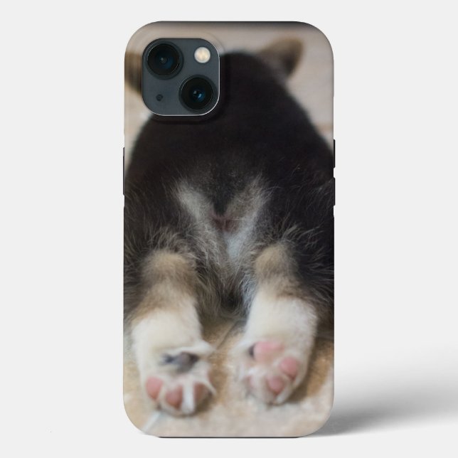 Niedliche Kleintiere | Corgi Puppy Behind Case-Mate iPhone Hülle (Rückseite)