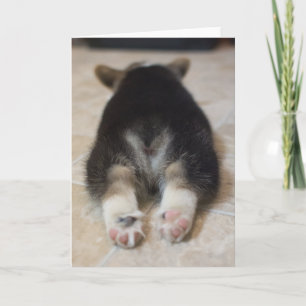 Niedliche Kleintiere Corgi Puppy Behind Karte