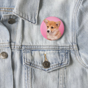 Niedliche Kleintiere Corgi Puppy in Pink Button