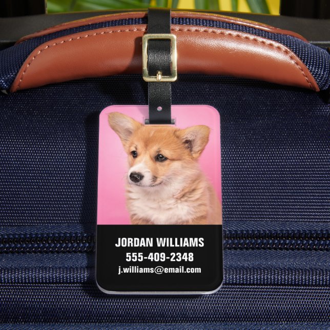 Niedliche Kleintiere | Corgi Puppy in Pink Gepäckanhänger (Vorderseite Insitu 2)