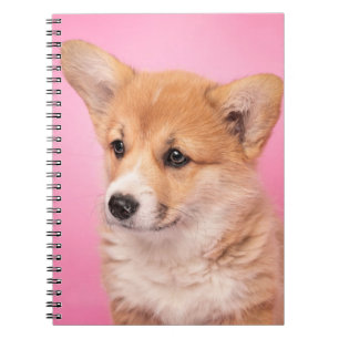 Niedliche Kleintiere Corgi Puppy in Pink Notizblock