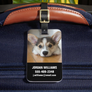 Niedliche Kleintiere Corgi Puppy Looking Gepäckanhänger