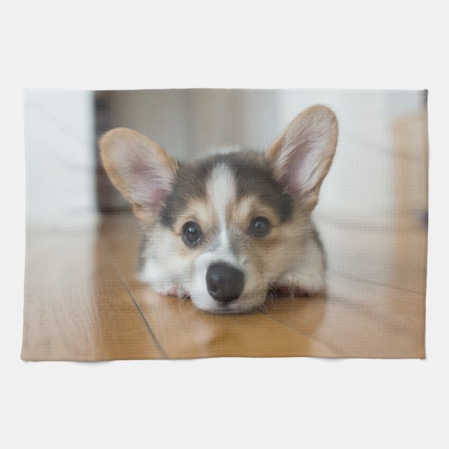 Niedliche Kleintiere | Corgi Puppy Looking Geschirrtuch (Horizontal)