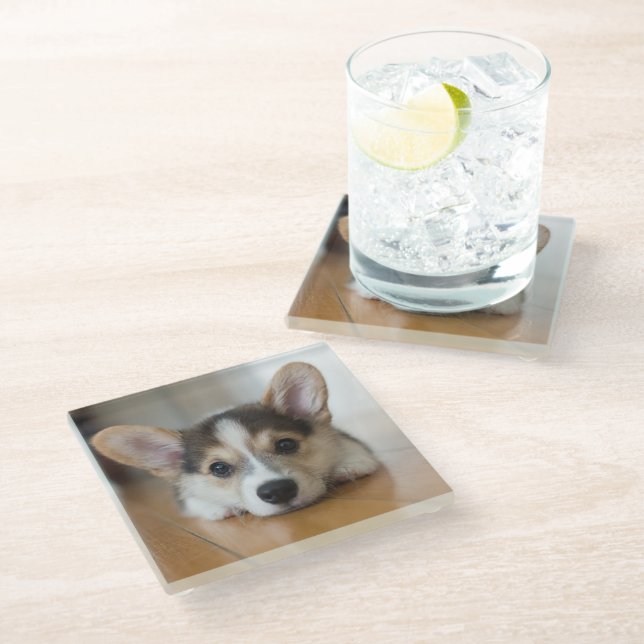 Niedliche Kleintiere | Corgi Puppy Looking Glasuntersetzer (Schrägansicht)