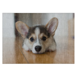 Niedliche Kleintiere   Corgi Puppy Looking Schneidebrett
