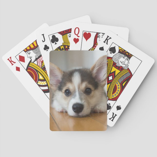 Niedliche Kleintiere | Corgi Puppy Looking Spielkarten (Rückseite)