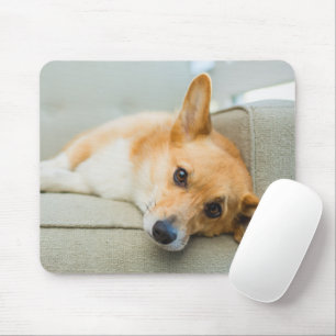 Niedliche Kleintiere Corgi Puppy on Couch Mousepad