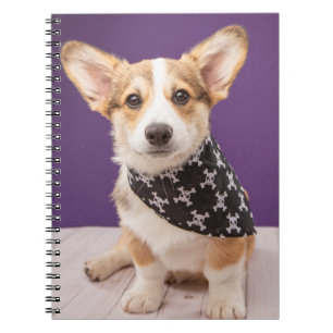 Niedliche Kleintiere Corgi Puppy Skull Bandana Notizblock