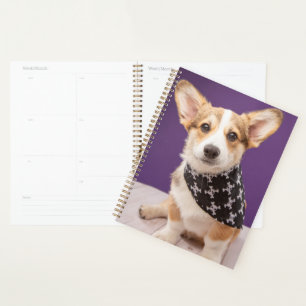 Niedliche Kleintiere Corgi Puppy Skull Bandana Planer