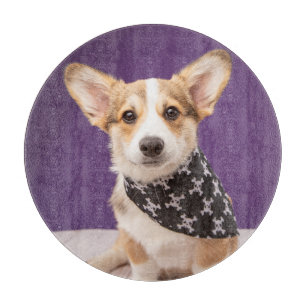 Niedliche Kleintiere Corgi Puppy Skull Bandana Schneidebrett
