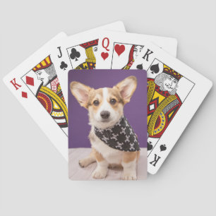 Niedliche Kleintiere   Corgi Puppy Skull Bandana Spielkarten