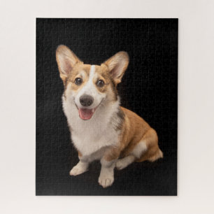 Niedliche Kleintiere   Corgi Puppy Smile