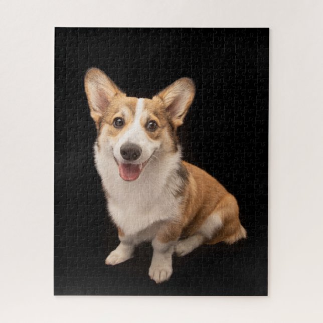 Niedliche Kleintiere | Corgi Puppy Smile (Vertikal)
