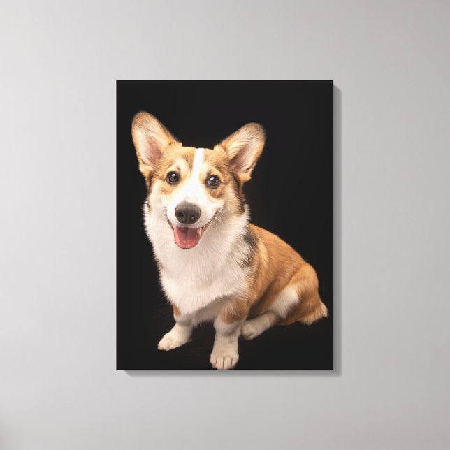 Niedliche Kleintiere | Corgi Puppy Smile Leinwanddruck (Vorderseite)
