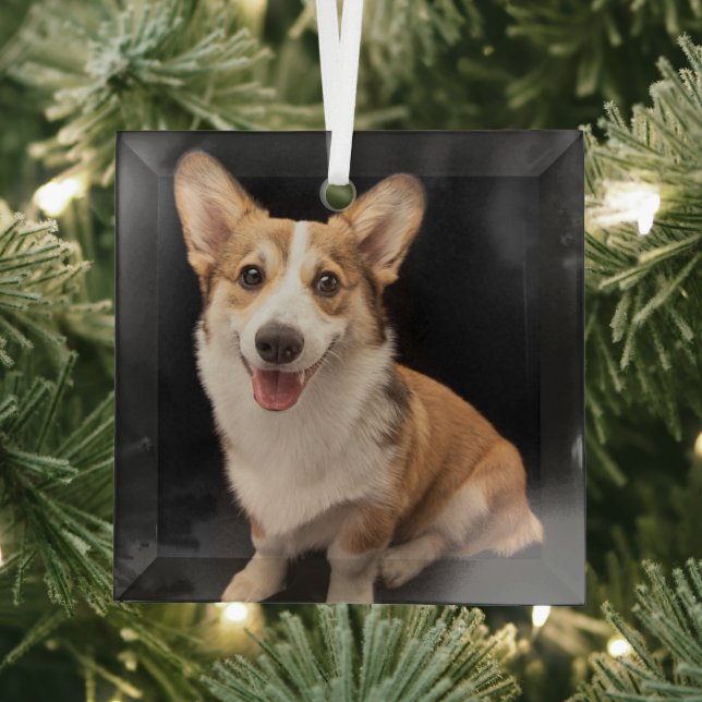 Niedliche Kleintiere | Corgi Puppy Smile Ornament Aus Glas (Insitu)