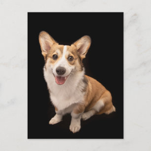 Niedliche Kleintiere Corgi Puppy Smile Postkarte