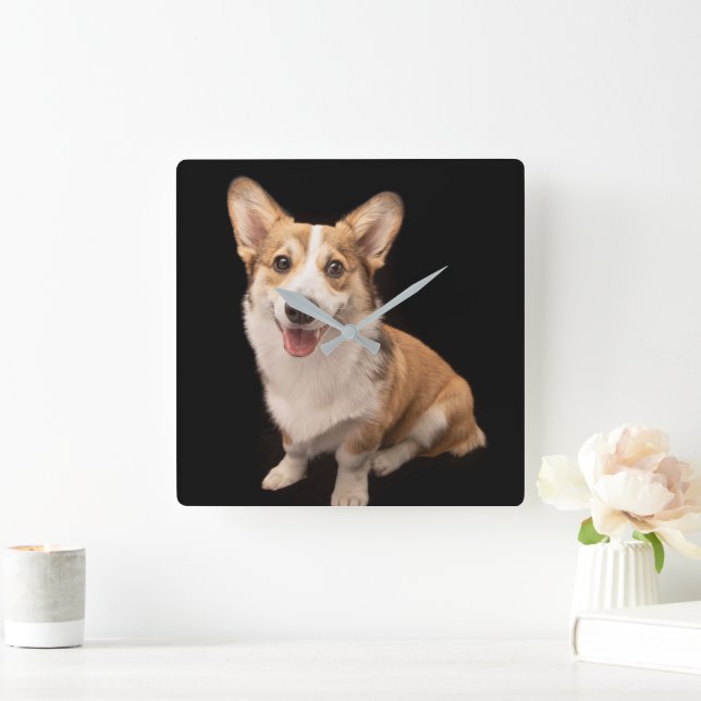 Niedliche Kleintiere | Corgi Puppy Smile Quadratische Wanduhr (Zuhause)