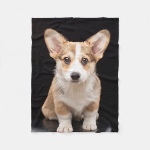 Niedliche Kleintiere Corgi Puppy Stehend Tal Fleecedecke