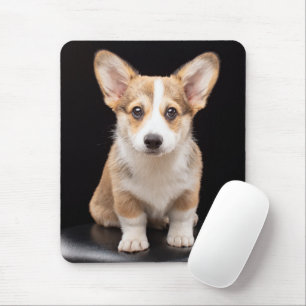 Niedliche Kleintiere Corgi Puppy Stehend Tal Mousepad