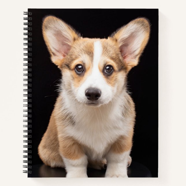 Niedliche Kleintiere | Corgi Puppy Stehend Tal Notizbuch (Vorderseite)
