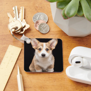 Niedliche Kleintiere   Corgi Puppy Stehend Tal Schlüsselanhänger