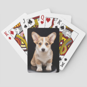 Niedliche Kleintiere Corgi Puppy Stehend Tal Spielkarten