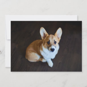 Niedliche Kleintiere Corgi Sucht nach oben Dankeskarte