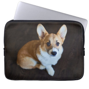Niedliche Kleintiere   Corgi Sucht nach oben Laptopschutzhülle