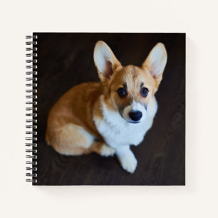 Niedliche Kleintiere Corgi Sucht nach oben Notizbuch